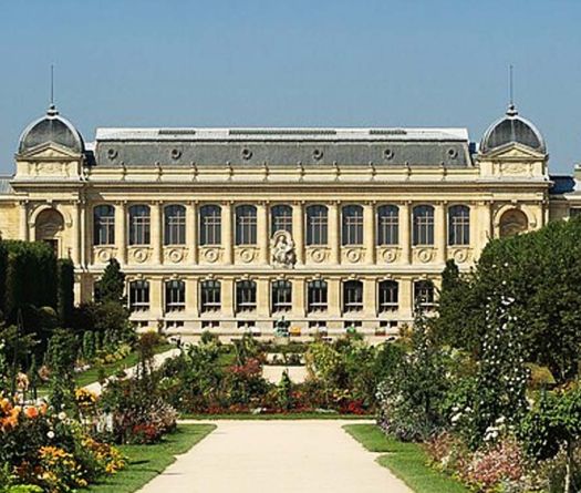 Vol d'or au Muséum d'histoire naturelle à Paris: une Chinoise mise en examen et écrouée