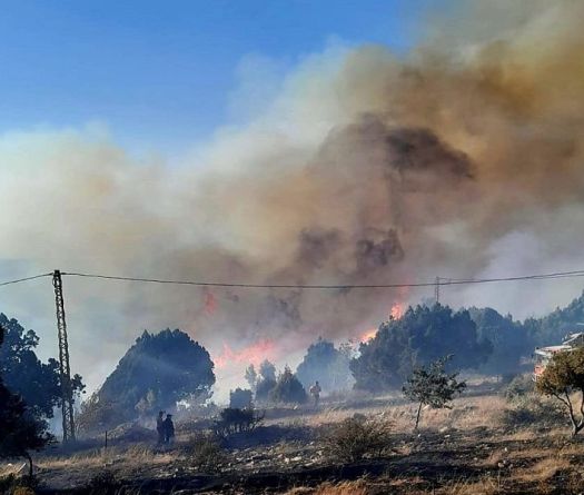 Un incendie de forêt dévastateur fait rage à Kobayat, dans le Akkar