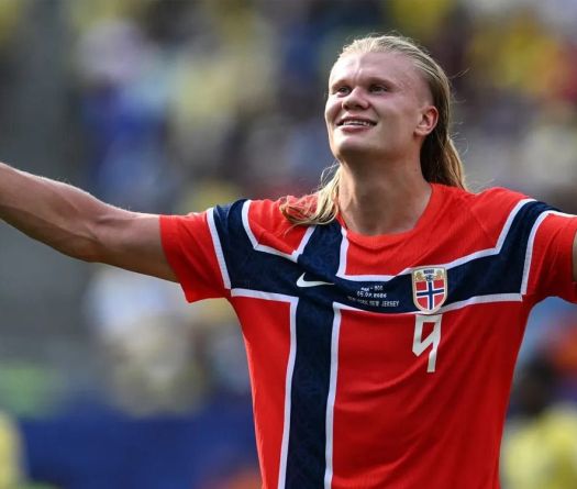 Erling le Rouge et les orphelins des géants