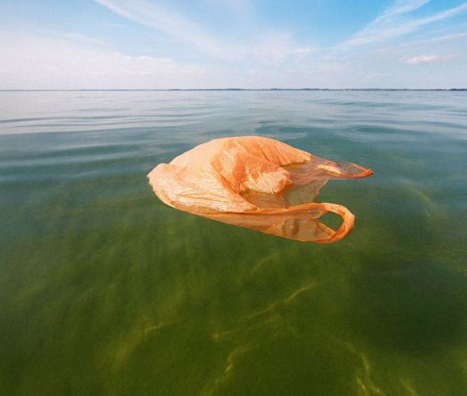 Pourquoi la mer est-elle jaune et verte à Beyrouth ?