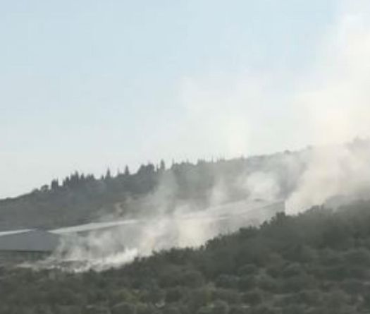 Incendies en série: la chaleur extrême et l’inaction climatique pointées du doigt
