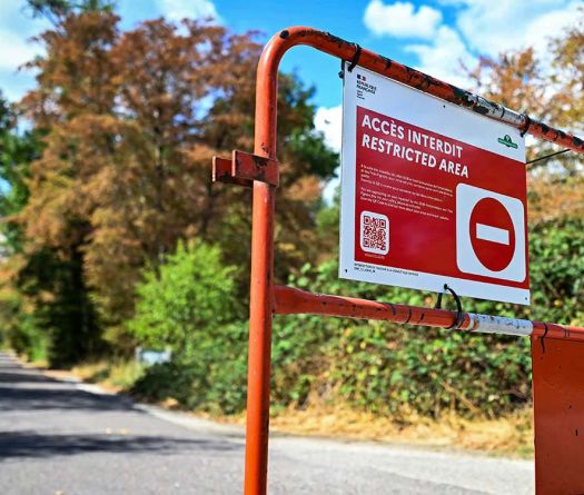 Fontainebleau rouvre ses sentiers