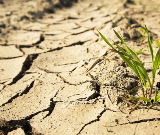 Liban&nbsp;: un pays riche en eau… mais confronté à la pénurie