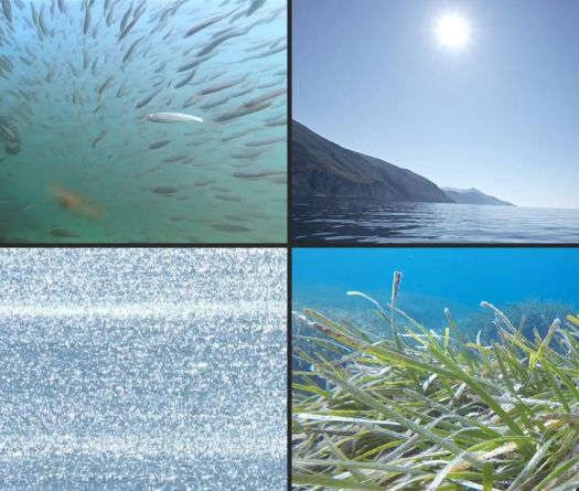 La mer Mediterranée a enregistré dimanche une température record pour un mois de juin