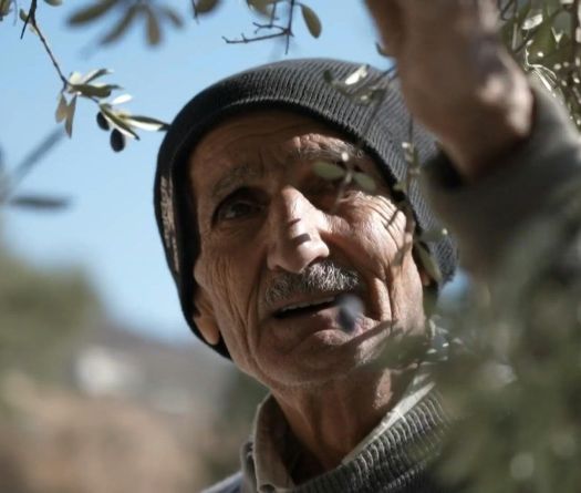 Lancement du plan national de gestion de la sécheresse au Liban