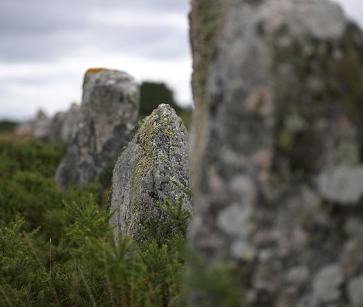 Les mégalithes de Carnac sous les projecteurs du monde