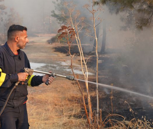 Chypre: l'incendie dévastateur désormais contenu