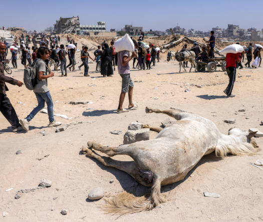 Trump annonce la mise en place de centres de distribution alimentaire à Gaza