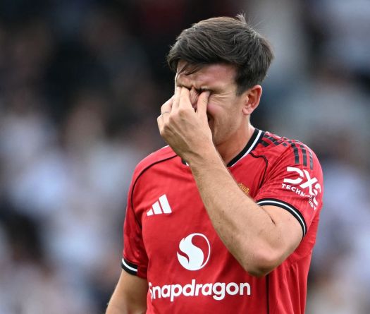 Angleterre: Manchester United au ralenti, Everton au stade de l'extase