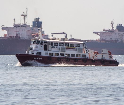 L'or noir en recul après l'opération américaine au Venezuela