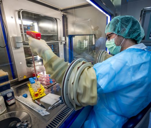 En Suisse, une nouvelle peau fabriquée pour les grands brûlés de Crans-Montana