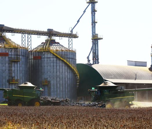 Un mois de guerre au Moyen-Orient: le marché des céréales relativement épargné