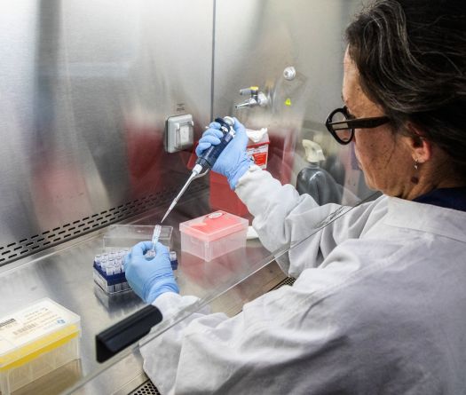 Dans les coulisses de la course au dépistage de l'hantavirus sur le bateau de croisière
