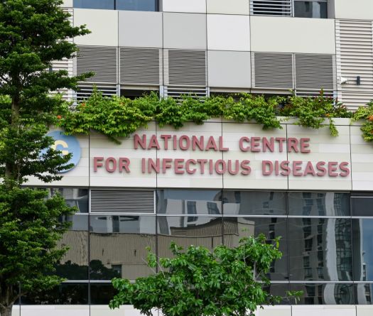 Hantavirus: le chef de l'OMS aux Canaries pour coordonner l'évacuation des passagers du navire touché
