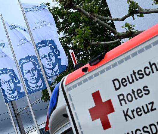 OMS: le hantavirus n'est «pas un nouveau Covid»