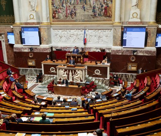 L'Assemblée nationale s'apprête à abroger le Code noir, ouvrant la voie au débat sur les réparations