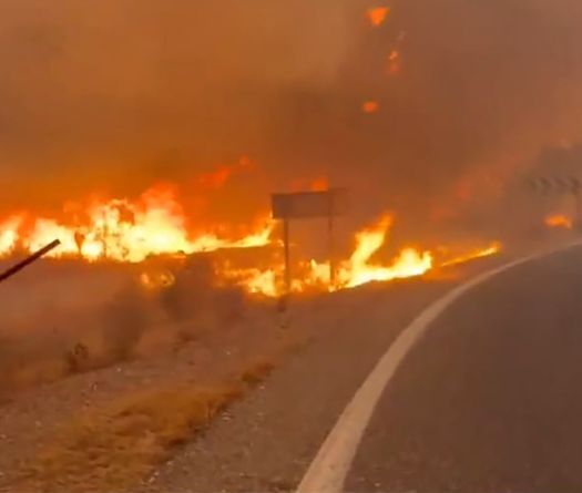 Incendies et températures extrêmes: l’Europe face à la fournaise
