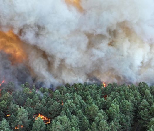 France: la forêt de Fontainebleau, près de Paris, en proie à un incendie d'une «ampleur exceptionnelle»