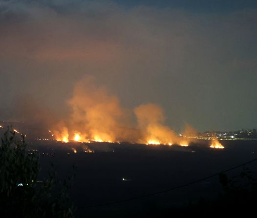 Liban-Sud: le bilan environnemental du conflit
