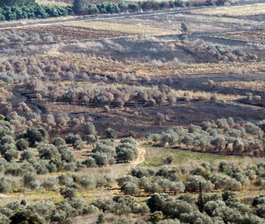 Le secteur agricole durement touché par la guerre