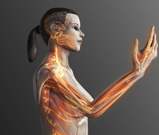 Algodystrophie (SDRC): une maladie rare à la douleur dévastatrice