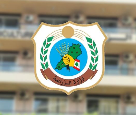 Canicule au Liban: renforcement des mesures de prévention des incendies