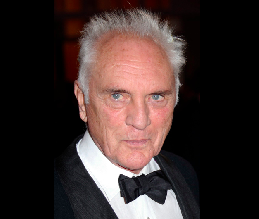 Terence Stamp, icône du cinéma et Zod de «Superman», s’éteint à 87 ans