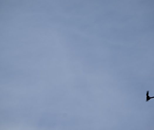Liban: un homme arrêté pour importation de pièces destinées aux drones du Hezbollah 