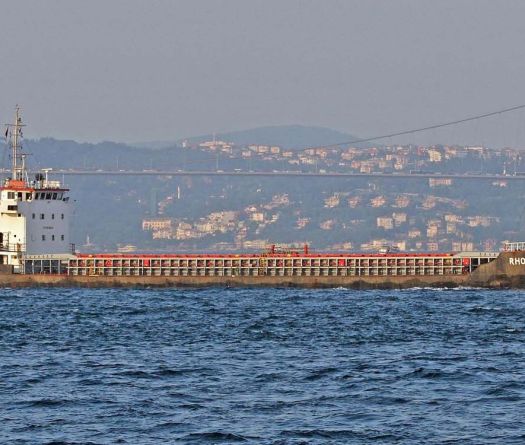 Explosion du 4 août 2020 au port de Beyrouth: l'arrestation d'Igor Grechushkin relance toutes les questions