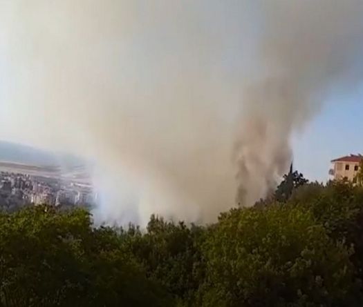 Incendies majeurs au Chouf et dans le nord: la Défense civile en alerte maximale