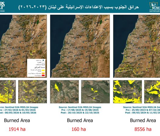 Liban-Sud: 1.914 hectares brûlés depuis le 02 mars