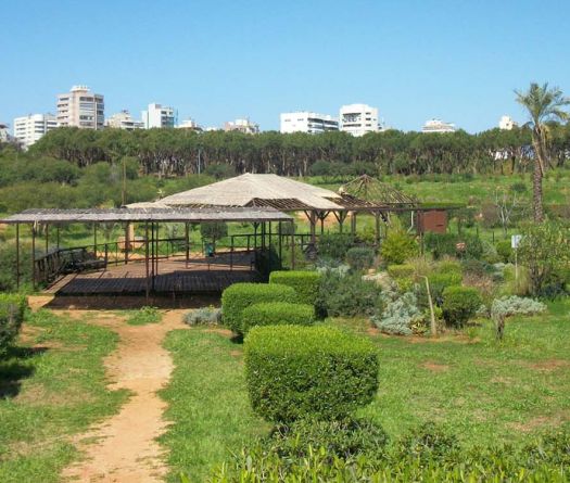 Horsh Beyrouth, la forêt qui a survécu à la ville