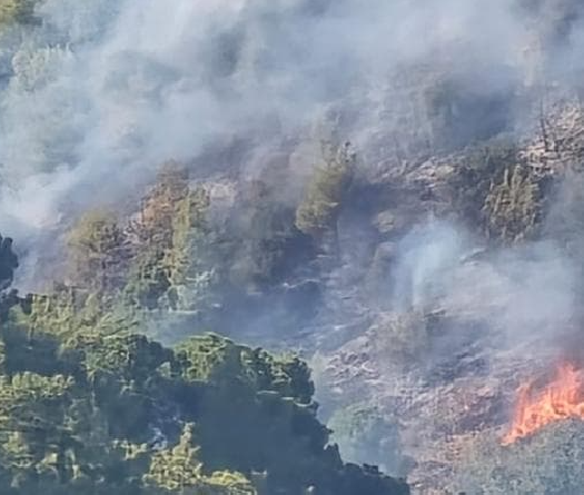 Les incendies ravagent le Liban