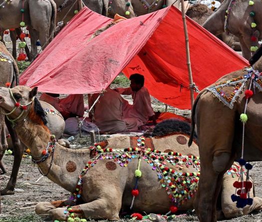 Islamabad: l’Aïd sous le poids de la crise