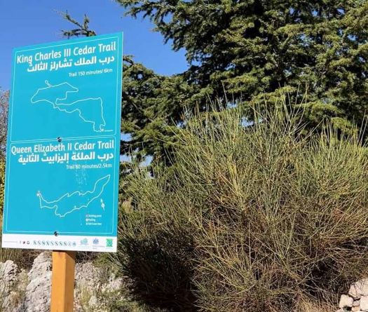 Le sentier des cèdres du roi Charles III ouvre au Liban