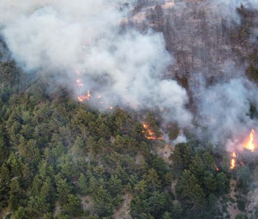 Kobeyate : l’incendie maîtrisé, plus de 20 hectares de forêts détruits