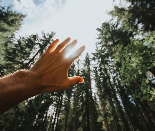La vie émet une lumière que la mort efface