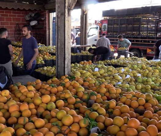 Les fruits libanais retrouvent le Golfe