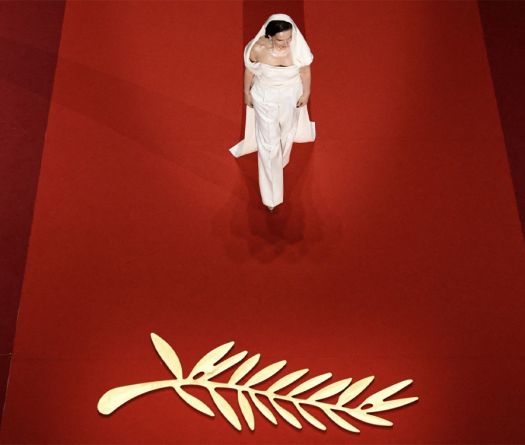 Microscènes du tapis rouge, l’autre langage de Cannes