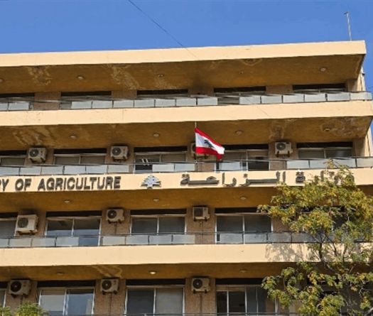 Agriculture au Liban: 704 millions de dollars de pertes recensées