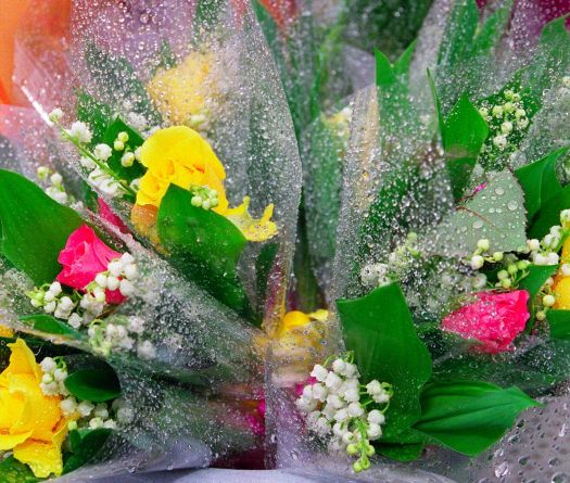 Le muguet du 1er mai, entre rites, luttes et traditions