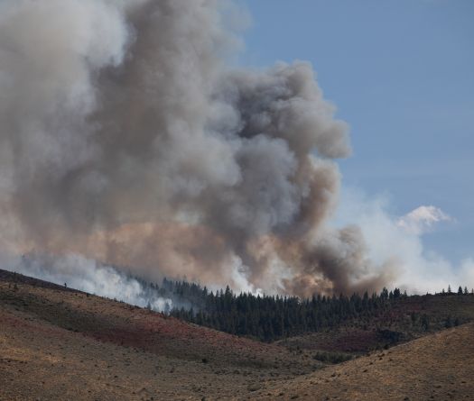Plus de 40.000 évacués face à un feu de forêt dans le Nevada