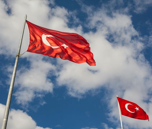 Turquie: trois policiers tués lors d'une opération contre le groupe État  islamique 