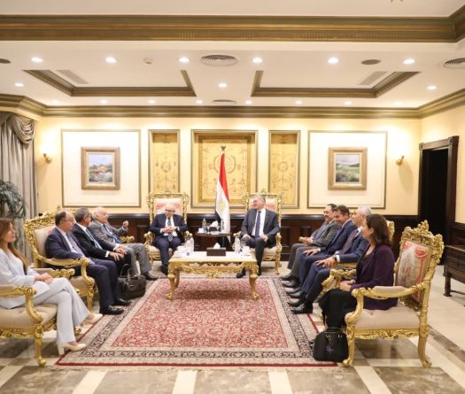Salam en visite officielle au Caire