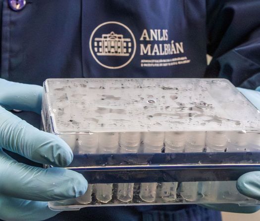 Surveillance sanitaire à bord du MV Hondius après des cas d’hantavirus