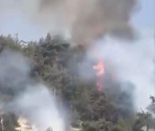 Un incendie ravage la forêt de Qammouaa, joyau naturel historique du Liban