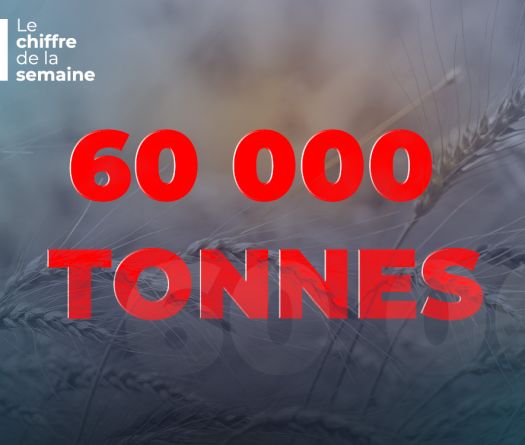 Pénurie de blé au Liban&nbsp;: la peur est là, les stocks aussi