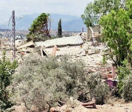 Zaoutar el-Gharbiyé&nbsp;: le retour au milieu des ruines