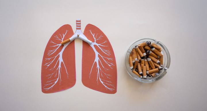 Pourquoi le tabac dtruit uniquement certains poumons