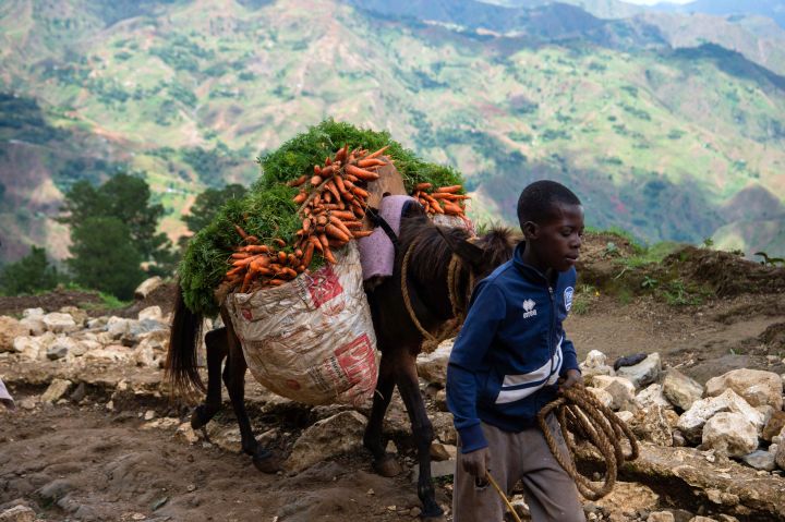 African Union: Conflict in the Middle East “a serious risk” for Africa